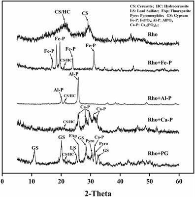 Remediation of Lead-Contaminated Water by Red Yeast and Different Types of Phosphate